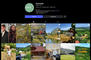 instagram tham reality