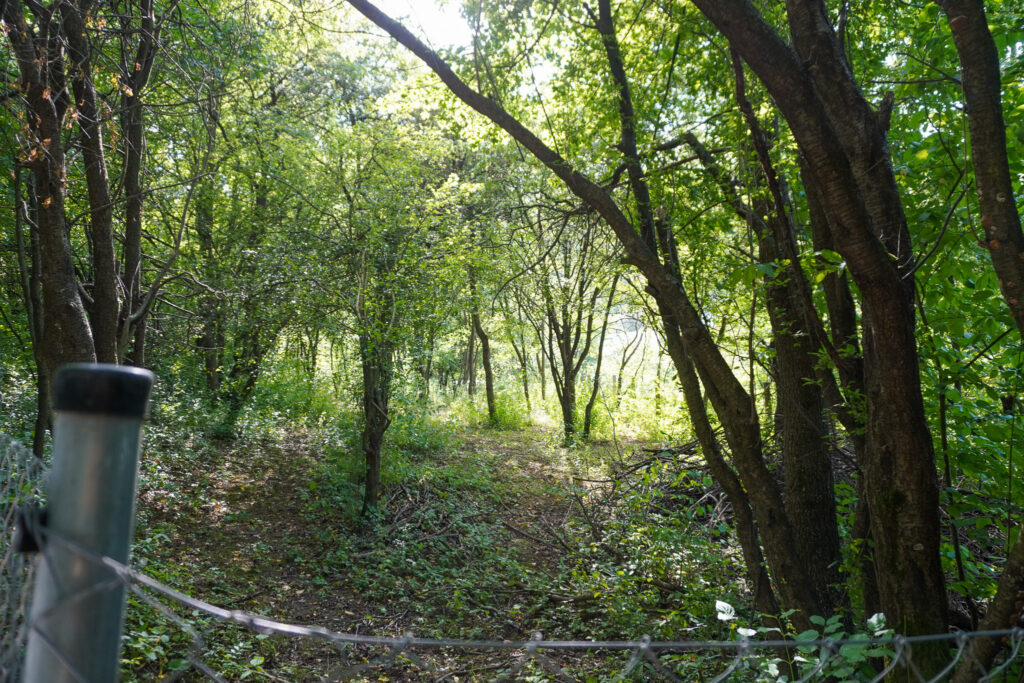 dsc01248