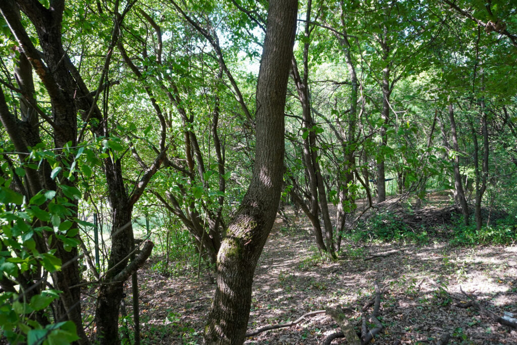 dsc01256