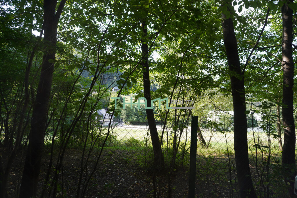 dsc01261 16.44.32